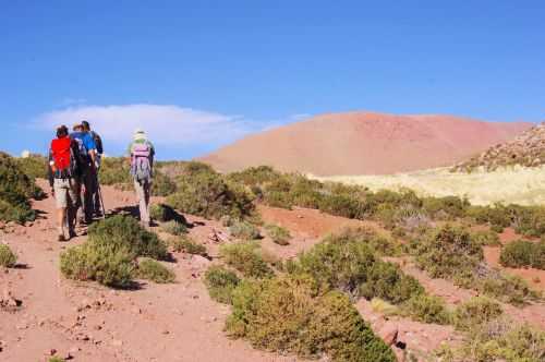 TREKKING NEL DESERTO DI ATACAMA 2015